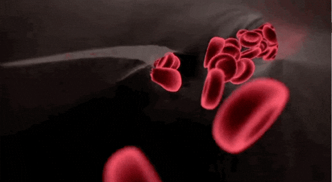 Neo-slip is fighting Blood Clots