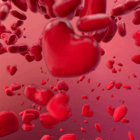 Love is lovely & Beautiful - And Today it's in the Air